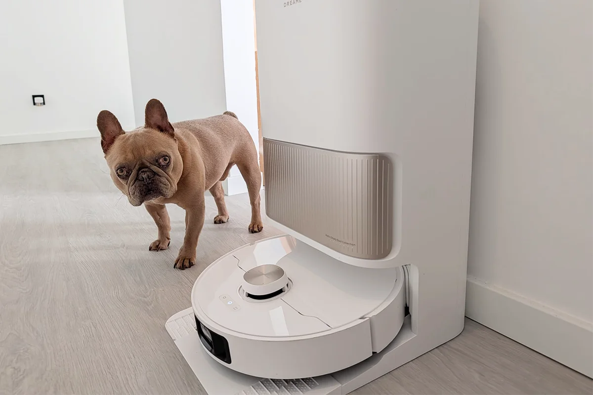 Dreame L40s Pro Ultra com bulldog francês