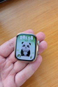 HUAWEI WATCH FIT 5 Pro