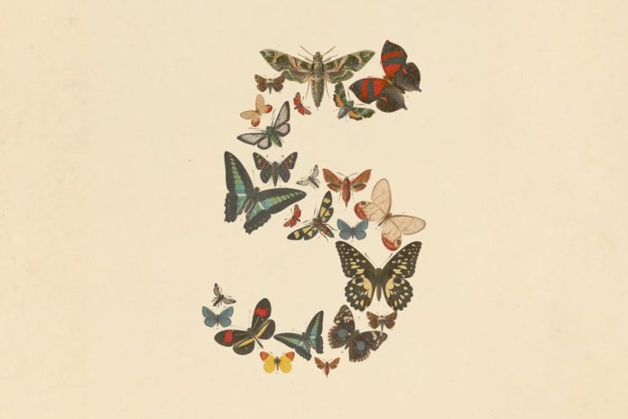 Anthropic Fable 5 AI