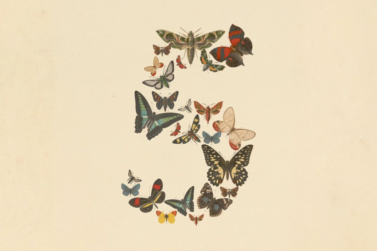Anthropic Fable 5 AI