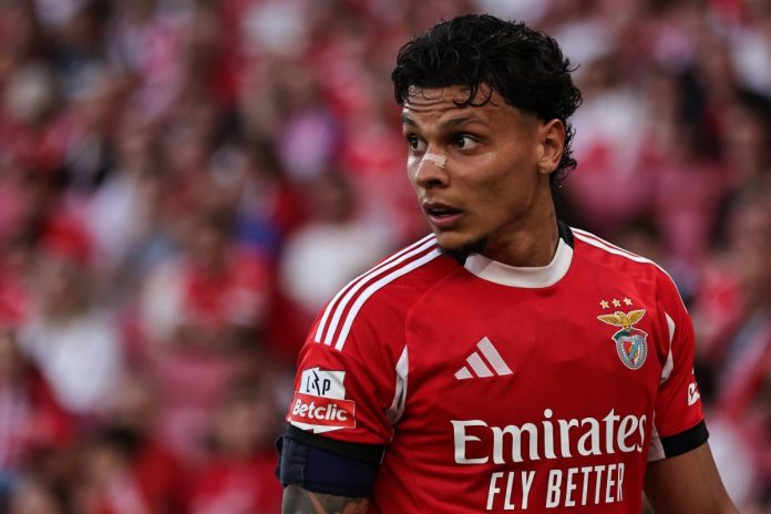 Calendário Jogos Benfica Conectado