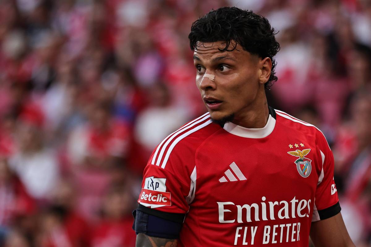Calendário Jogos Benfica Conectado