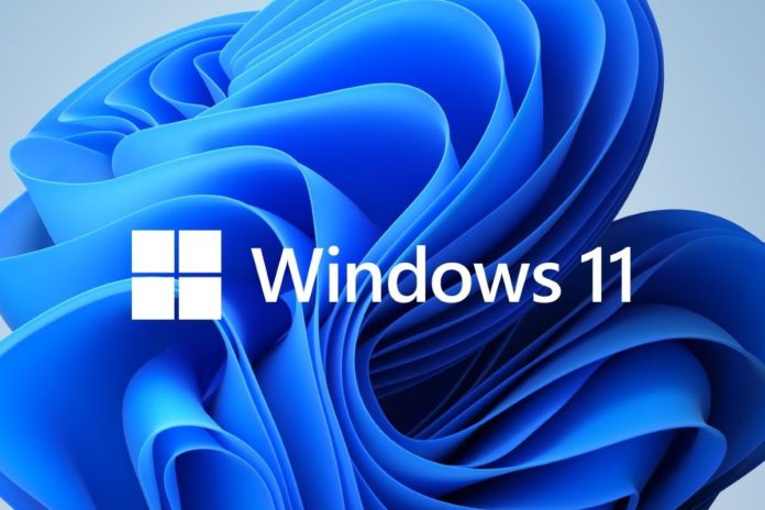 Windows 11 Microsoft Conectado